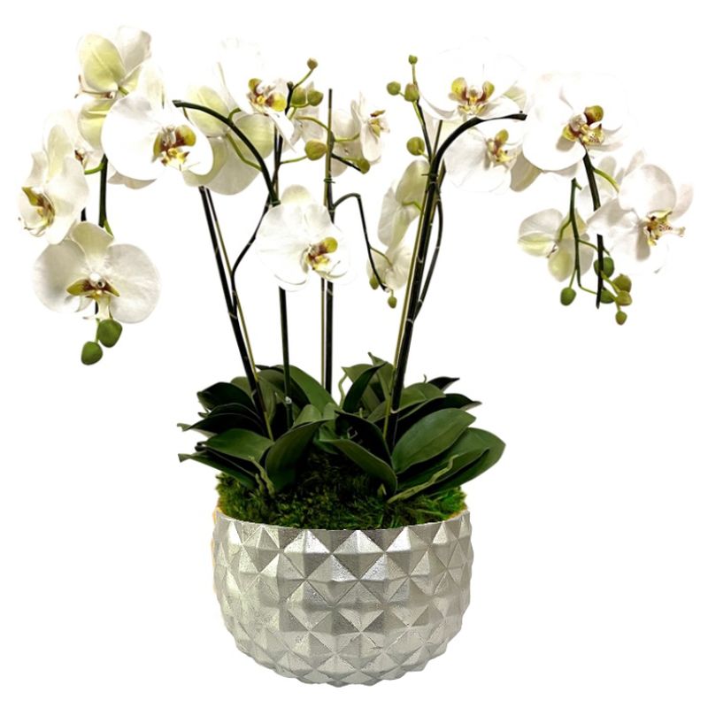 [GEO-S-ORGR5] Resin Geo Bowl Silver Leaf - Artificial Orchids White & Green