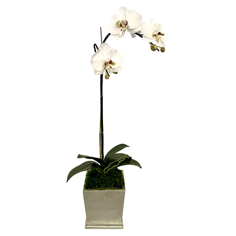 [MSP-C-ORGR2] Resin Mini Square Container Champagne Leaf - Artificial Orchid White & Green