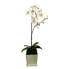 Load image into Gallery viewer, [MSP-C-ORGR] Resin Mini Square Container Champagne Leaf - Artificial Orchid White &amp; Green
