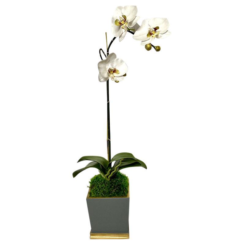 [MSP-DG-ORGR2] Resin Mini Square Container Dark Grey & Gold - Artificial Orchid White & Green