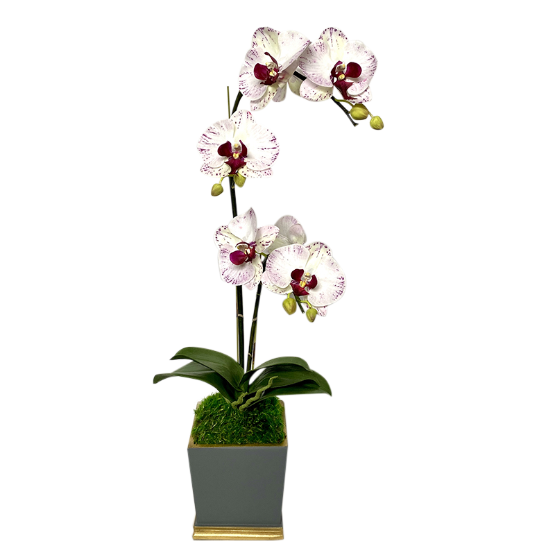 [MSP-DG-OROCDT] Resin Mini Square Container Dark Grey & Gold - Artificial Double Orchid White & Purple
