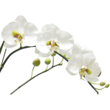 Load image into Gallery viewer, [RBL-G-ORGR7] Resin Round Bowl Large Gold Leaf - Artificial Orchids White &amp; Green
