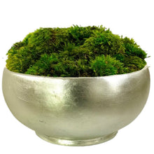 Load image into Gallery viewer, [RBL-C-M] Resin Round Bowl Champagne Leaf - Preserved Moss
