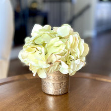 Load image into Gallery viewer, [RESS-AHDLG] Gold Glass Vase Small - Artificial Hydrangea Light Green
