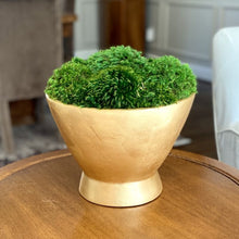 Load image into Gallery viewer, [RRCT-G-M] Resin Round Container Gold Leaf - Preserved Moss
