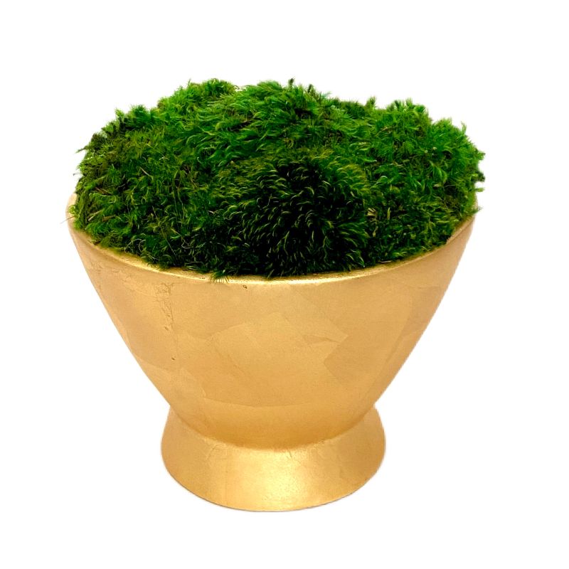 [RRCT-G-M] Resin Round Container Gold Leaf - Preserved Moss
