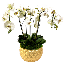 Load image into Gallery viewer, Resin Geo Bowl Gold Leaf - Artificial Orchids White &amp; Green
