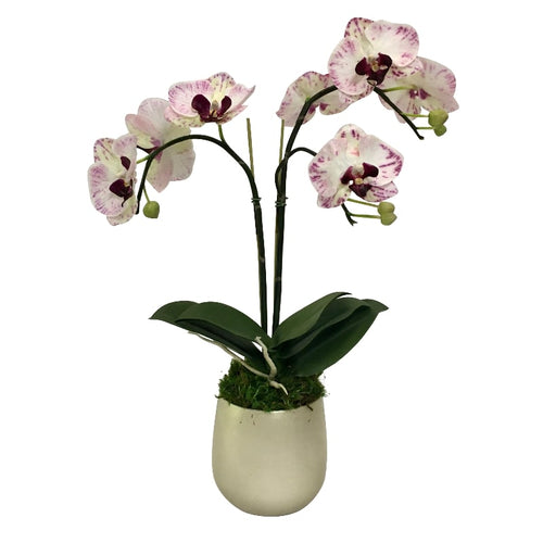 Resin Round Container Small Champagne Leaf - Double Orchid Purple & White Artificial