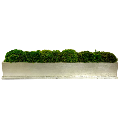 Rect Long Champagne Leaf Container - Moss
