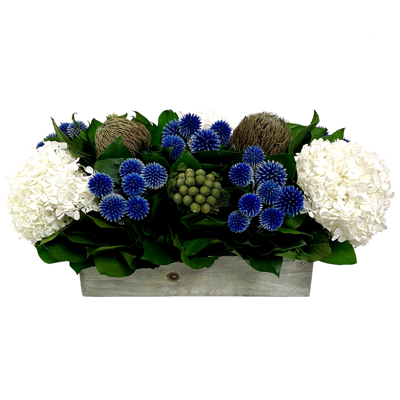 Wooden Container Grey Stained - Echinops Dark Blue, Banksia Blue & Hydrangea White