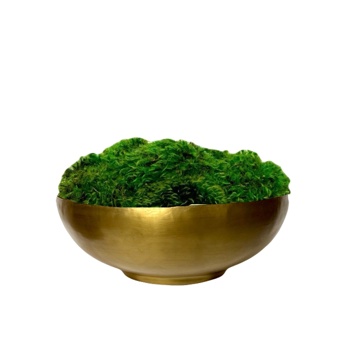 AGBS-M] Antique Gold Bowl Small Metal - Moss – Bougainvillea