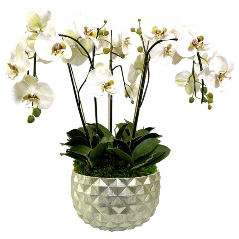 [GEO-C-ORGR5] Resin Geo Bowl Champagne Leaf - Artificial Orchids White & Green
