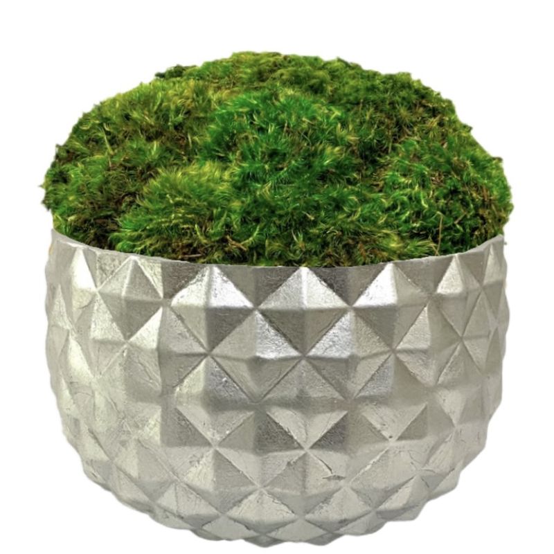 [GEO-S-M] Geo Round Container Silver Leaf - Preserved Moss