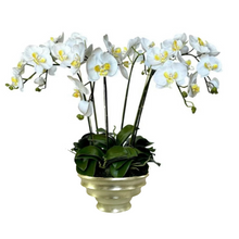 Load image into Gallery viewer, [RRC-C-ORYE6] Resin Round Container Champagne Leaf - White &amp; Yellow Orchid Artificial - 6 Stems

