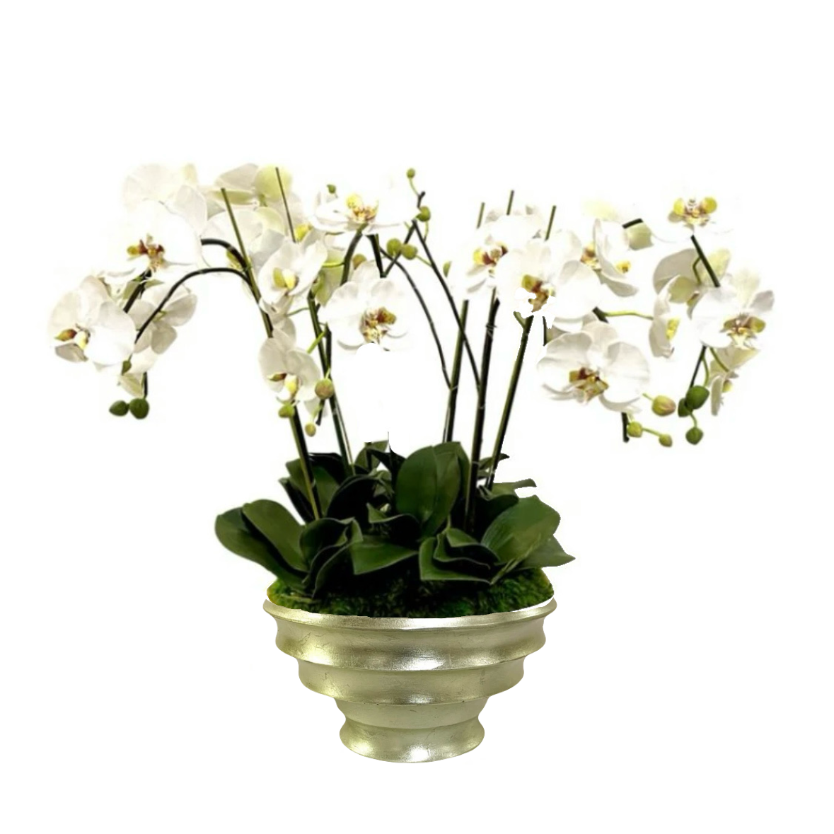 [RRC-C-ORGR5] Resin Round Container Champagne Leaf - Artificial Orchids White & Green