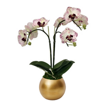 Load image into Gallery viewer, [GRB-OROCD] Gold Round Bowl Metal - Double Orchid Purple &amp; White Artificial
