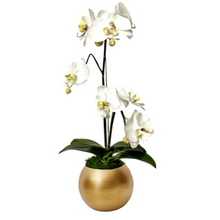 Load image into Gallery viewer, [GRB-ORGRDT] Gold Round Bowl Metal - Double Orchid Green &amp; White Artificial
