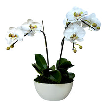 Load image into Gallery viewer, [METS-W-ORGR] Ceramic Boat Small White - Artificial Orchid White &amp; Green
