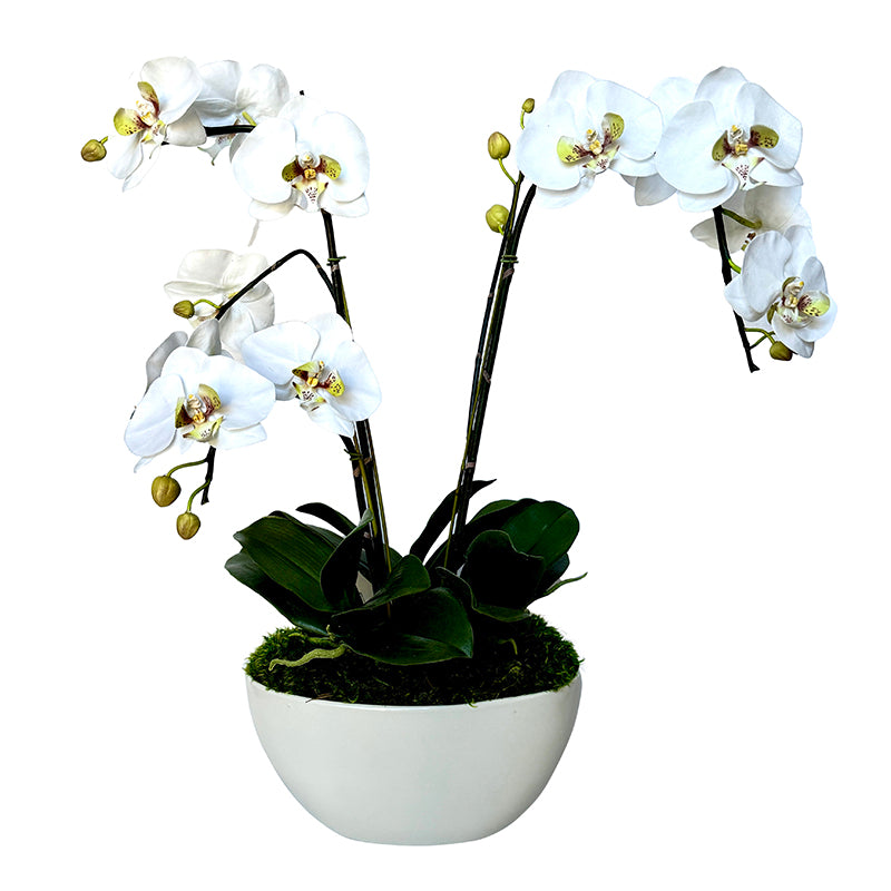 [METL-W-ORGR] Ceramic Boat Large White - Artificial Orchid White & Green