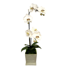 Load image into Gallery viewer, [MSP-C-ORGRDT] Resin Mini Square Container Champagne Leaf - Artificial Double Orchid White &amp; Green