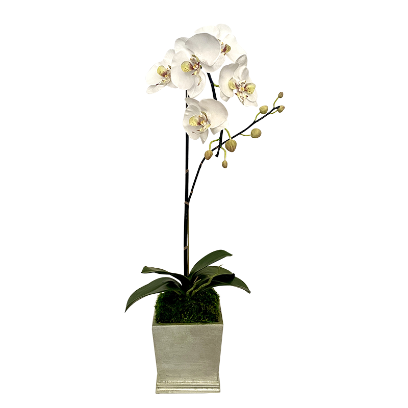 [MSP-C-ORGR] Resin Mini Square Container Champagne Leaf - Artificial Orchid White & Green