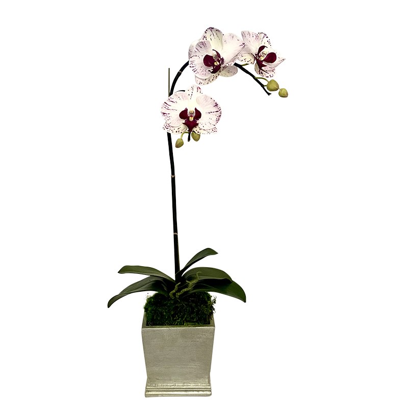 [MSP-C-OROC] Resin Mini Square Container Champagne Leaf - Artificial Orchid White & Purple