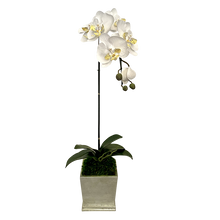 Load image into Gallery viewer, [MSP-C-ORYE] Resin Mini Square Container Champagne Leaf - Artificial Orchid White &amp; Yellow