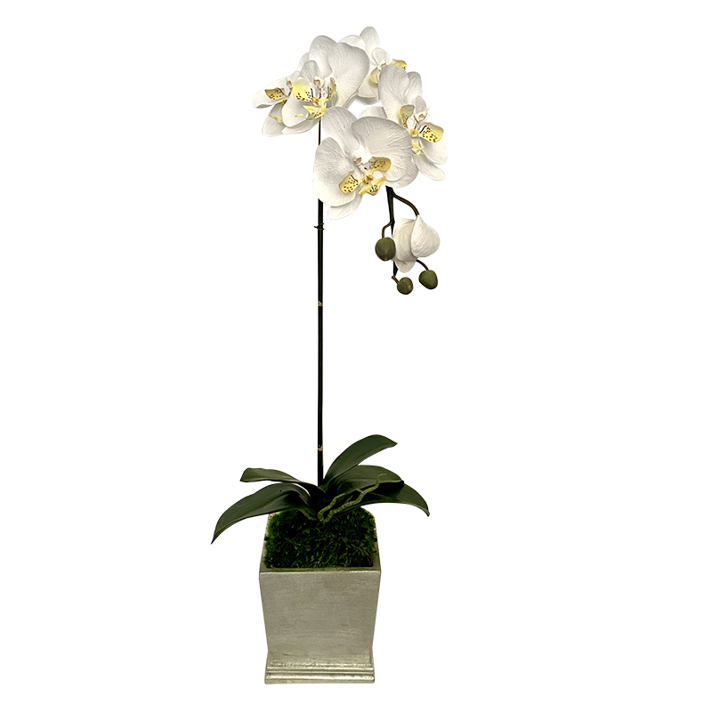 [MSP-C-ORYE] Resin Mini Square Container Champagne Leaf - Artificial Orchid White & Yellow