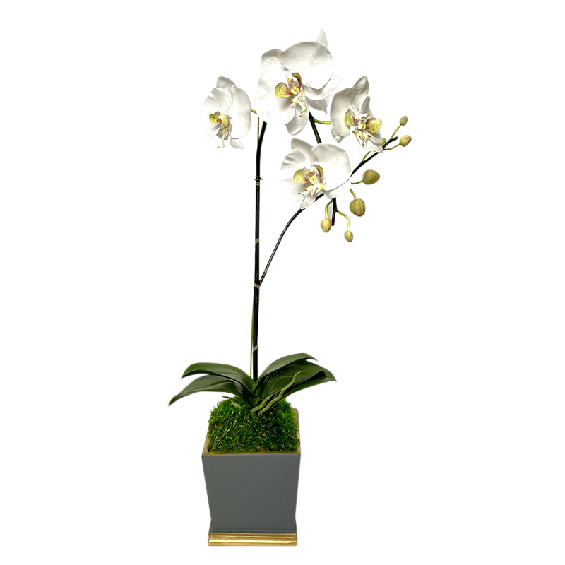 [MSP-DG-ORGR] Resin Mini Square Container Dark Grey & Gold - Artificial Orchid White & Green