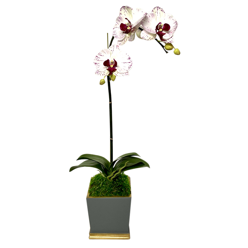 [MSP-DG-OROC] Resin Mini Square Container Dark Grey & Gold - Artificial Orchid White & Purple