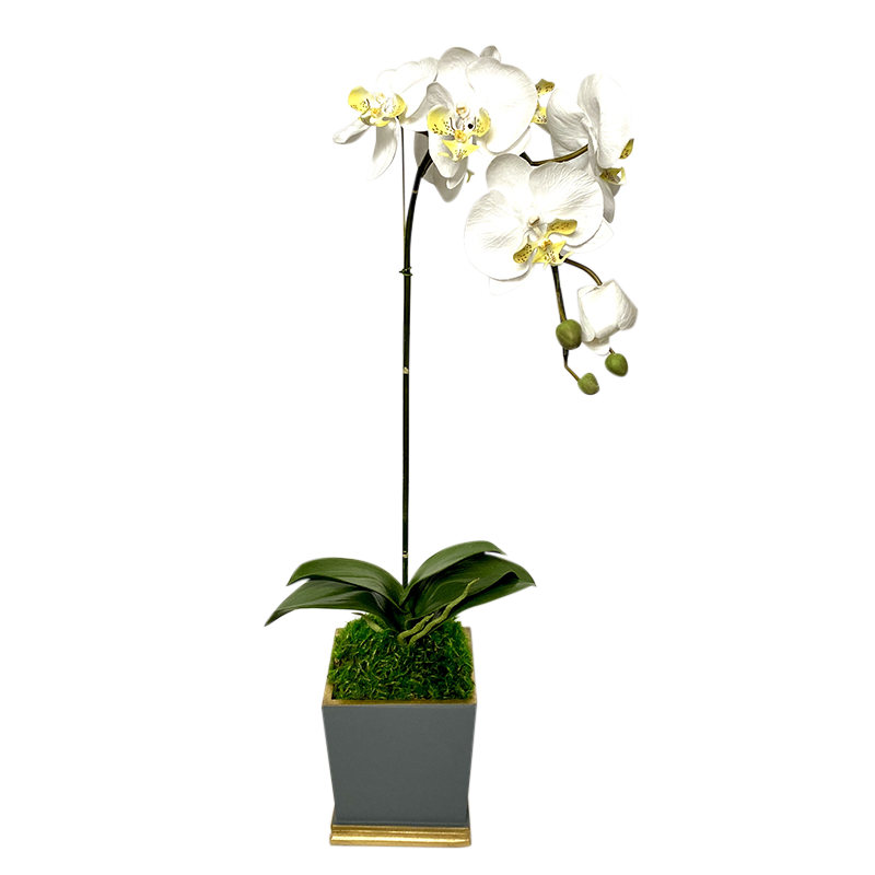 [MSP-DG-ORYE] Resin Mini Square Container Dark Grey & Gold - Artificial Orchid White & Yellow
