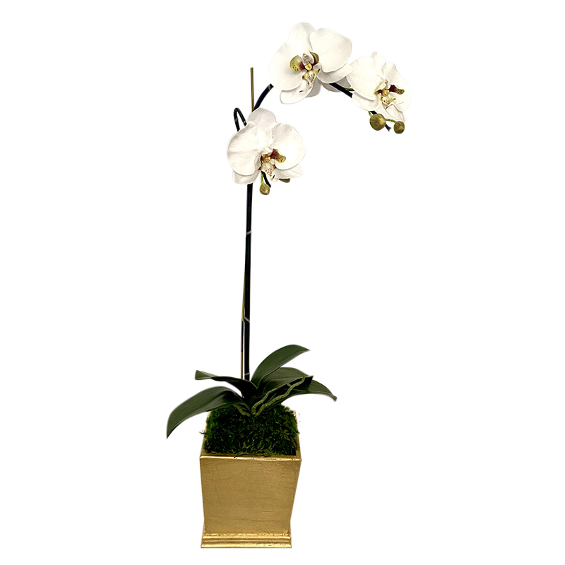 [MSP-G-ORGR2] Resin Mini Square Container Gold Leaf - Artificial Orchid White & Green