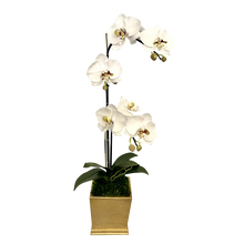 Load image into Gallery viewer, [MSP-G-ORGRDT] Resin Mini Square Container Gold Leaf - Artificial Double Orchid White &amp; Green