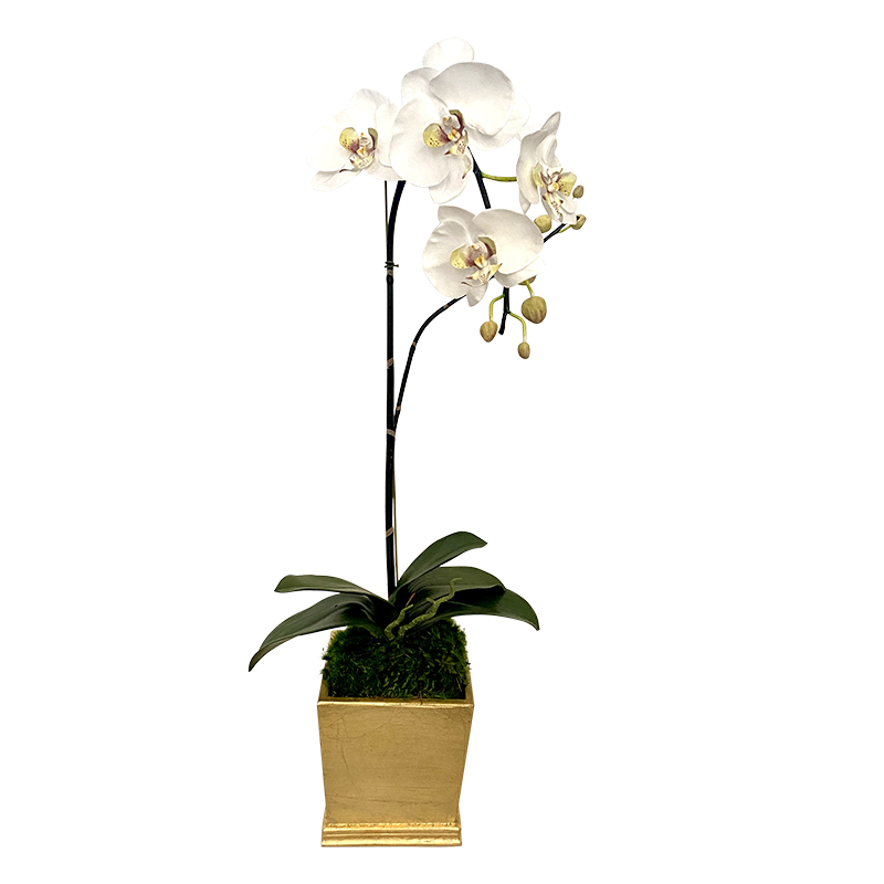 [MSP-G-ORGR] Resin Mini Square Container Gold Leaf - Artificial Orchid White & Green