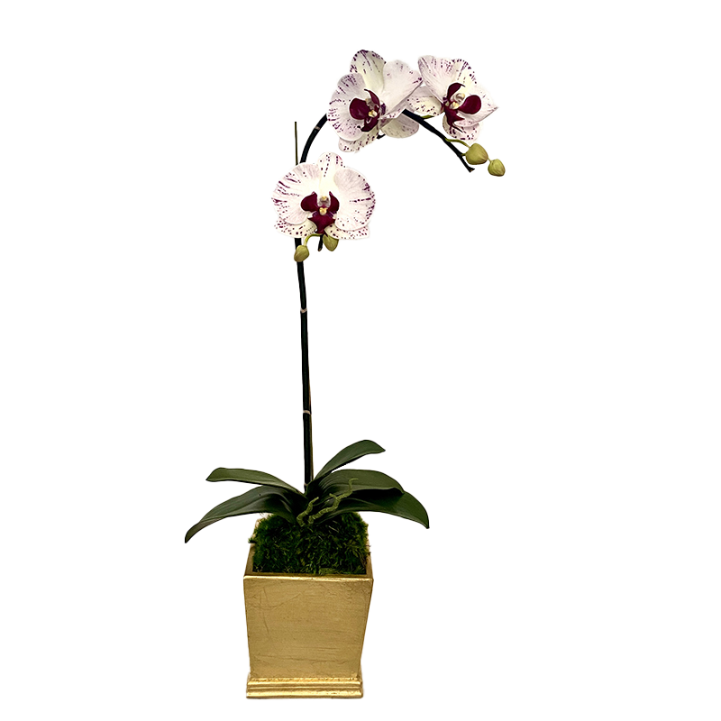 [MSP-G-OROC] Resin Mini Square Container Gold Leaf - Artificial Orchid White & Purple