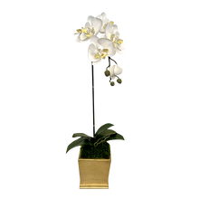 Load image into Gallery viewer, [MSP-G-ORYE] Resin Mini Square Container Gold Leaf - Artificial Orchid White &amp; Yellow