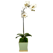 Load image into Gallery viewer, [MSP-GG-ORGR2] Resin Mini Square Container Green &amp; Gold - Artificial Orchid White &amp; Green
