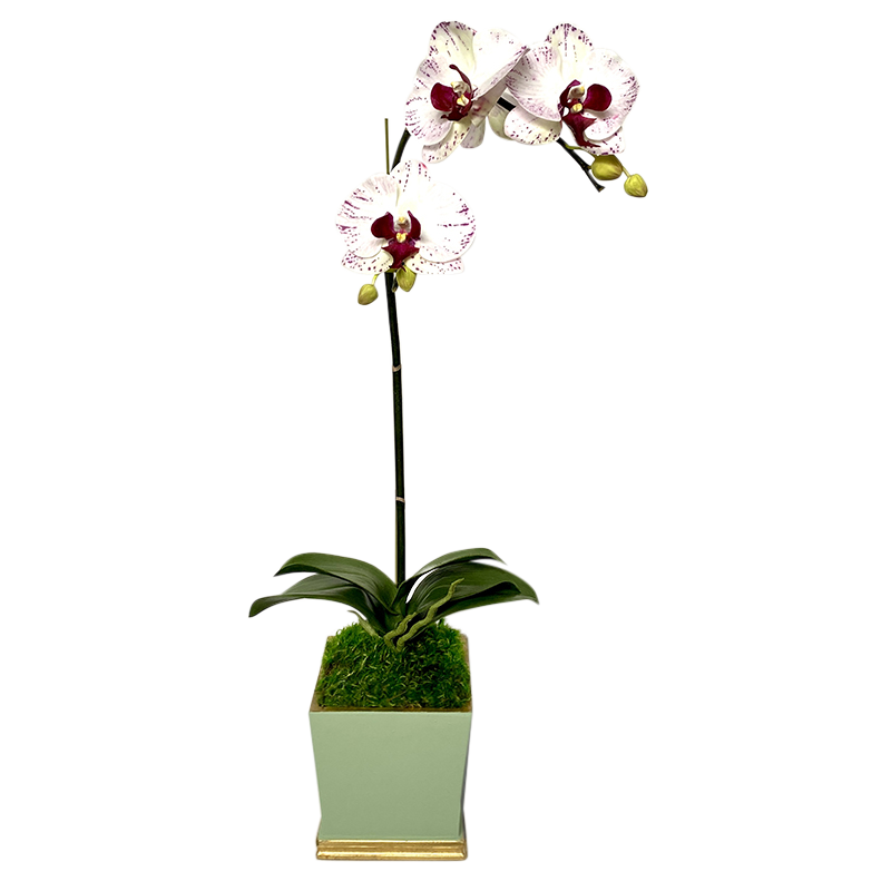 [MSP-GG-OROC] Resin Mini Square Container Green & Gold - Artificial Orchid White & Purple
