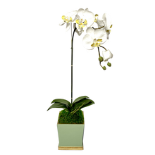 Load image into Gallery viewer, [MSP-GG-ORYE] Resin Mini Square Container Green &amp; Gold - Artificial Orchid White &amp; Yellow
