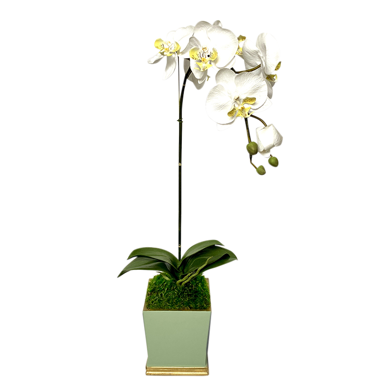 [MSP-GG-ORYE] Resin Mini Square Container Green & Gold - Artificial Orchid White & Yellow