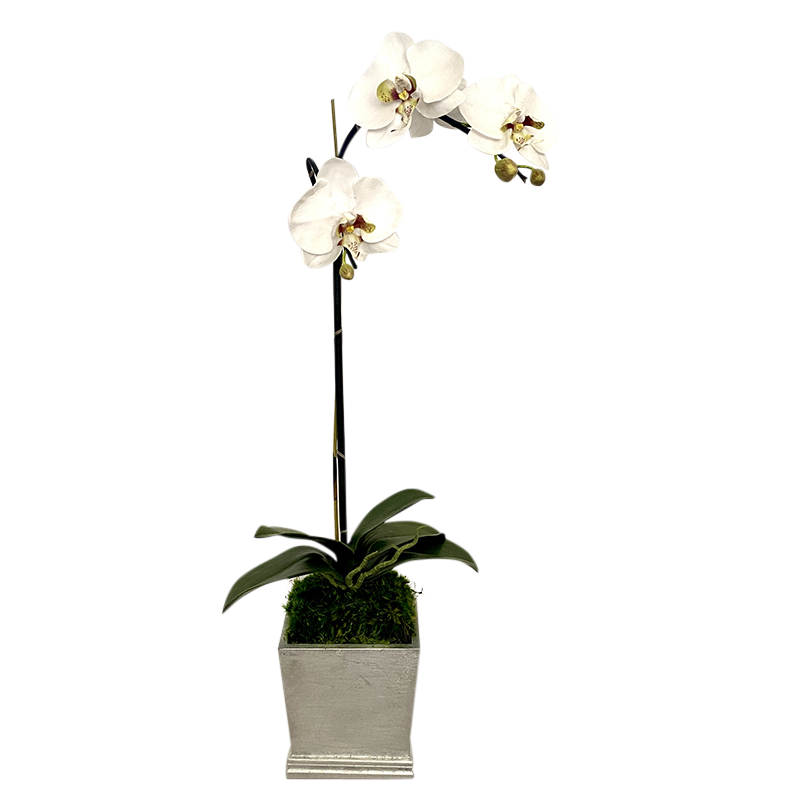 [MSP-S-ORGR2] Resin Mini Square Container Silver Leaf - Artificial Orchid White & Green