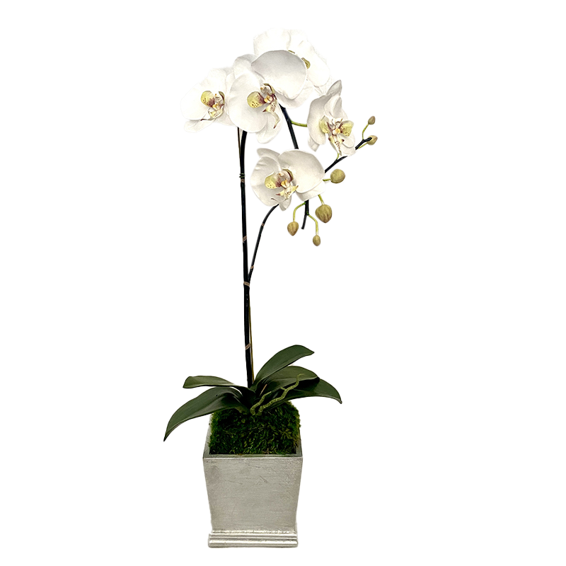 [MSP-S-ORGR] Resin Mini Square Container Silver Leaf - Artificial Orchid White & Green