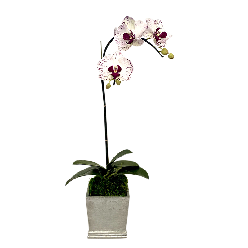 [MSP-S-OROC] Resin Mini Square Container Silver Leaf - Artificial Orchid White & Purple