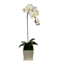 Load image into Gallery viewer, [MSP-S-ORYE] Resin Mini Square Container Silver Leaf - Artificial Orchid White &amp; Yellow