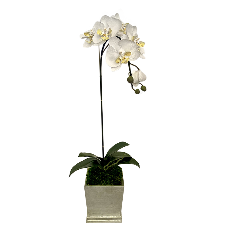 [MSP-S-ORYE] Resin Mini Square Container Silver Leaf - Artificial Orchid White & Yellow