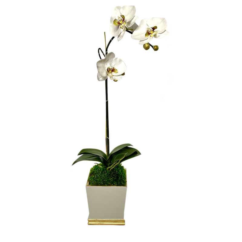 [MSP-WG-ORGR2] Resin Mini Square Container Grey White & Gold - Artificial Orchid White & Green