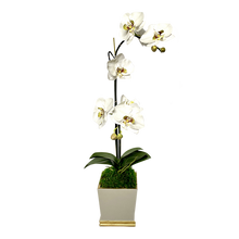 Load image into Gallery viewer, [MSP-WG-ORGRDT] Resin Mini Square Container Grey White &amp; Gold - Artificial Double Orchid White &amp; Green
