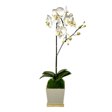 Load image into Gallery viewer, [MSP-WG-ORGR] Resin Mini Square Container Grey White &amp; Gold - Artificial Orchid White &amp; Green
