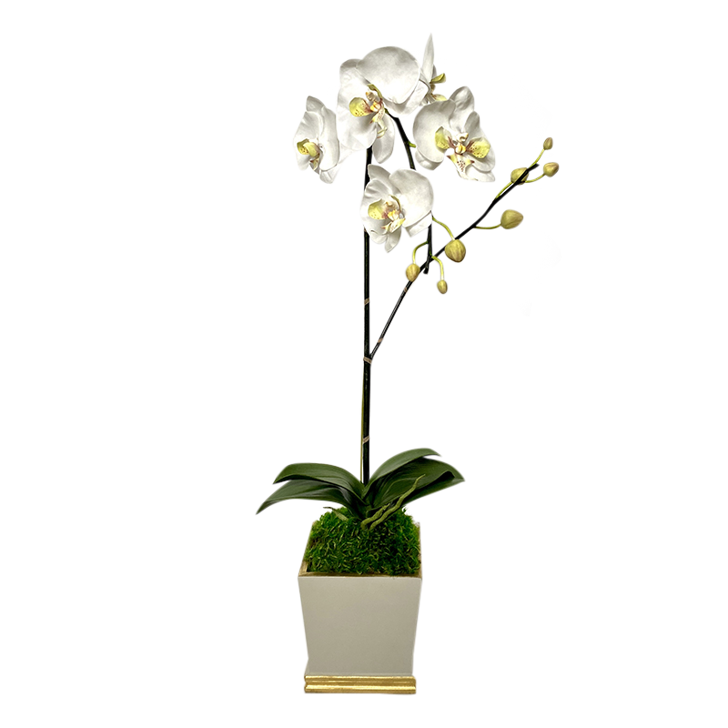 [MSP-WG-ORGR] Resin Mini Square Container Grey White & Gold - Artificial Orchid White & Green
