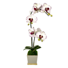 Load image into Gallery viewer, [MSP-WG-OROCDT] Resin Mini Square Container Grey White &amp; Gold - Artificial Double Orchid White &amp; Purple
